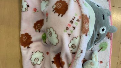 娘の相棒たちの休息