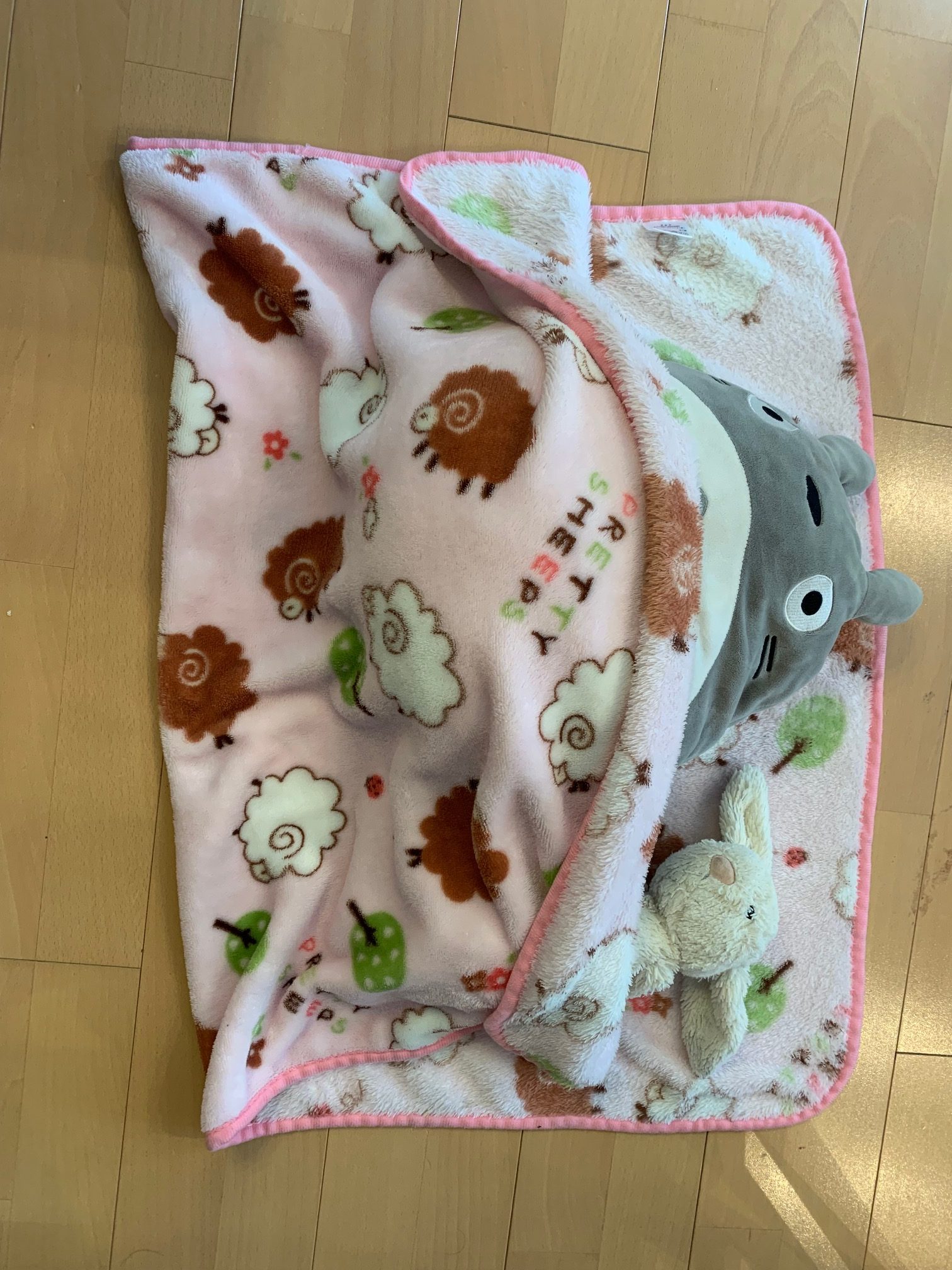 娘の相棒たちの休息
