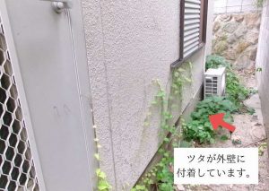 ツタ　外壁　弊害