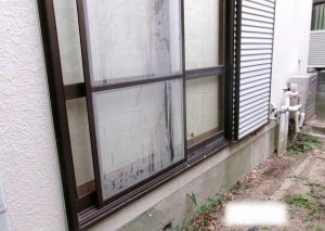 ツタ　外壁　弊害