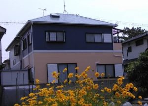住宅の１階　２階（外壁塗装の色のアクセントカラー）